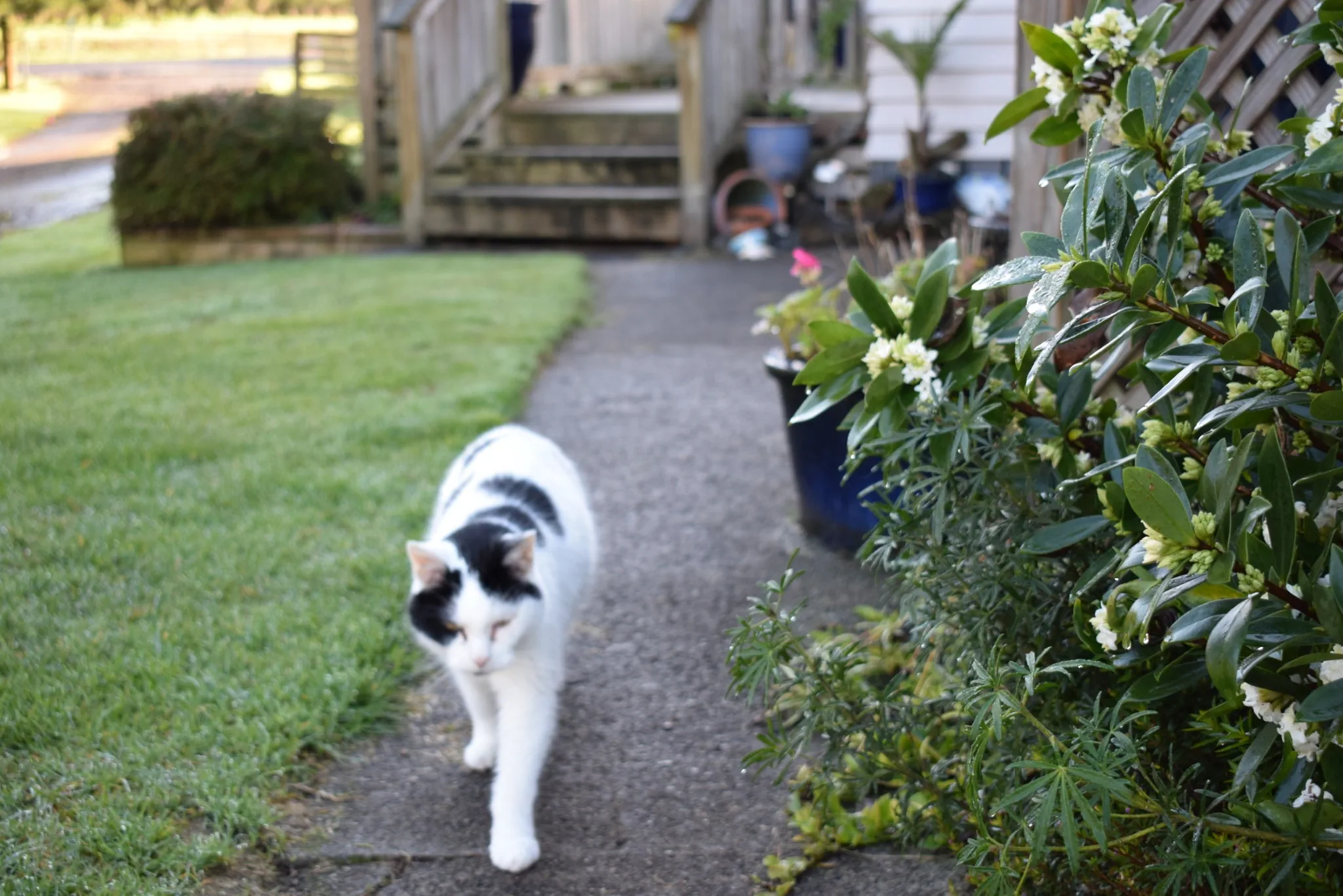 G28 goodbye dear marshall we love you 28 jul 2018 (7)